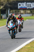 Oulton-Park-21st-March-2020;PJ-Motorsport-Photography-2020;anglesey;brands-hatch;cadwell-park;croft;donington-park;enduro-digital-images;event-digital-images;eventdigitalimages;mallory;no-limits;oulton-park;peter-wileman-photography;racing-digital-images;silverstone;snetterton;trackday-digital-images;trackday-photos;vmcc-banbury-run;welsh-2-day-enduro